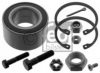 VW 171407625AS1 Wheel Bearing Kit